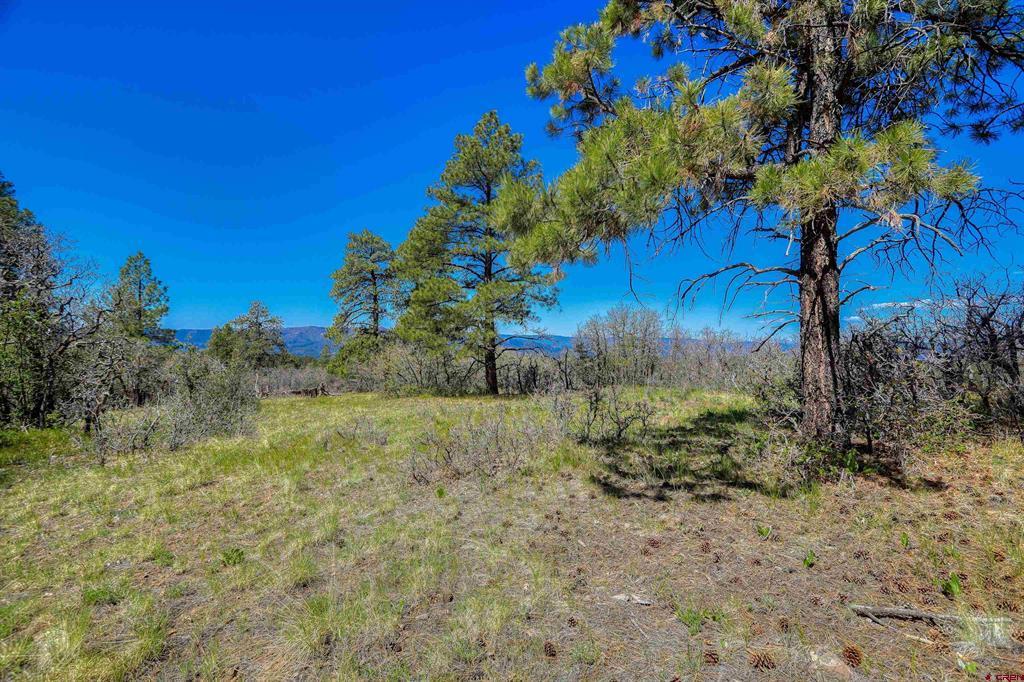 3367 Ranchland Drive Property Photo 22