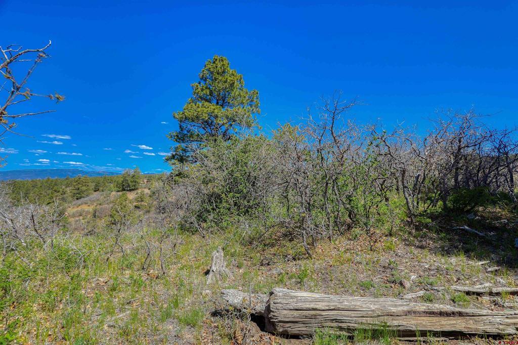 3367 Ranchland Drive Property Photo 23