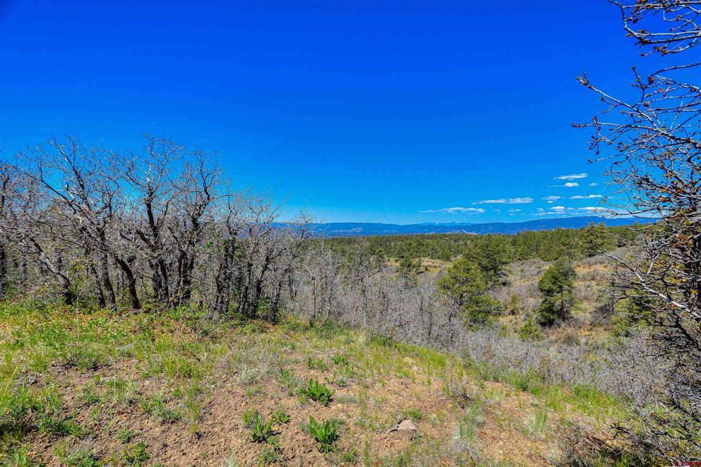 3367 Ranchland Drive Property Photo 24