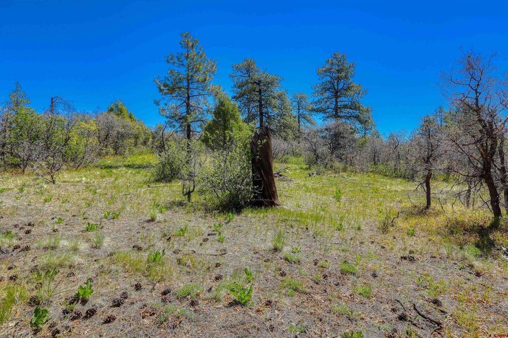 3367 Ranchland Drive Property Photo 25