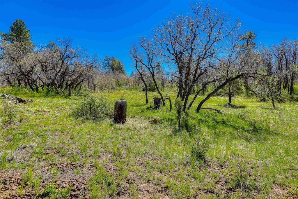 3367 Ranchland Drive Property Photo 26