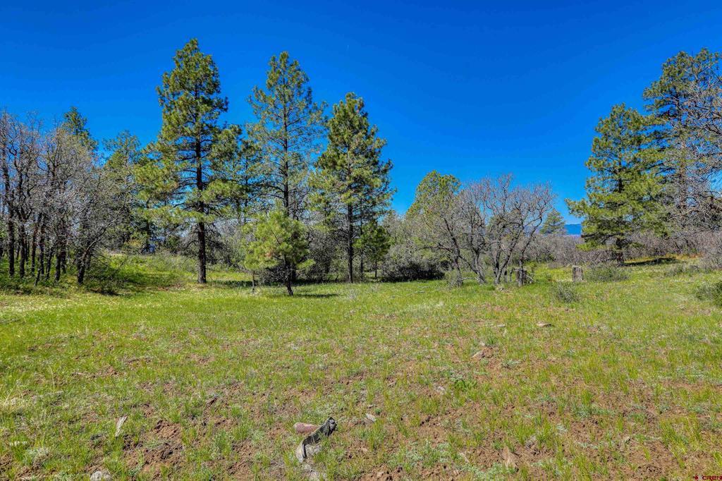 3367 Ranchland Drive Property Photo 27