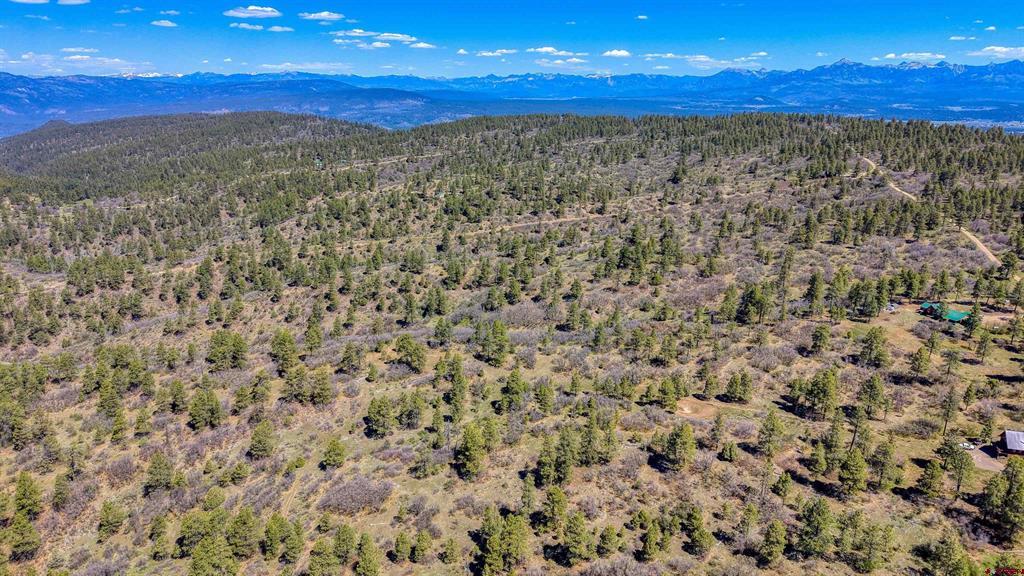 3367 Ranchland Drive Property Photo 28