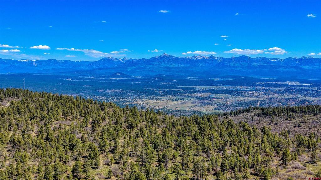 3367 Ranchland Drive Property Photo 29