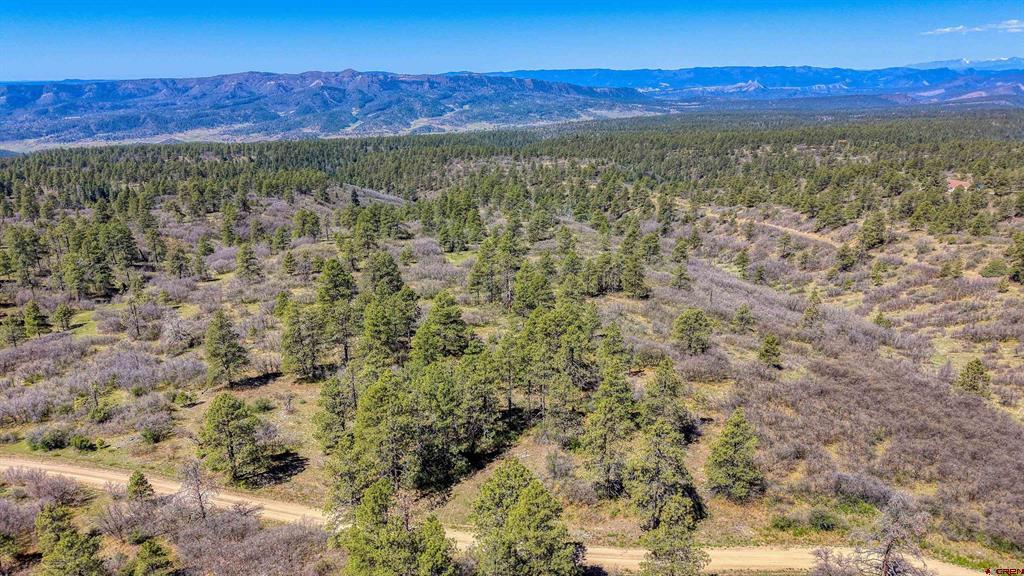3367 Ranchland Drive Property Photo 31