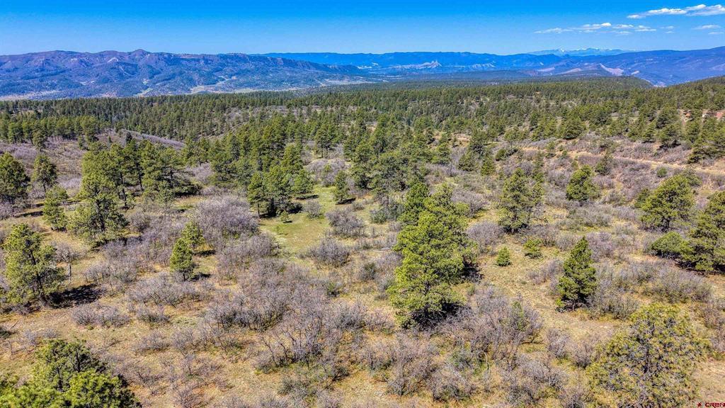 3367 Ranchland Drive Property Photo 32