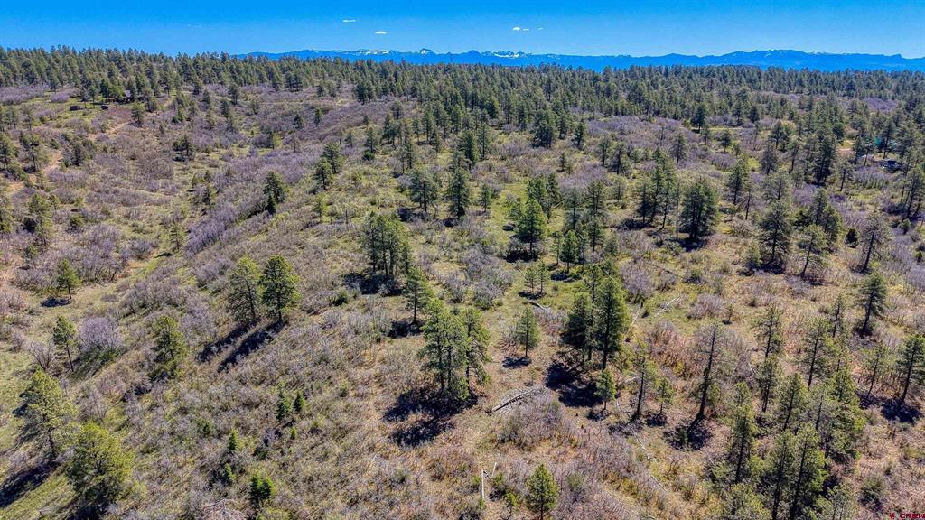 3367 Ranchland Drive Property Photo 33