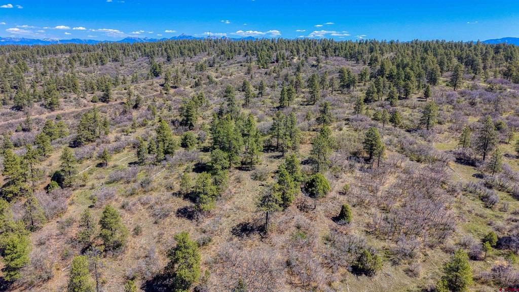 3367 Ranchland Drive Property Photo 34