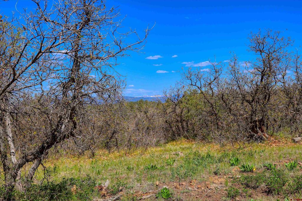 3367 Ranchland Drive Property Photo 35
