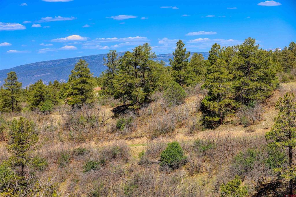3367 Ranchland Drive Property Photo 37