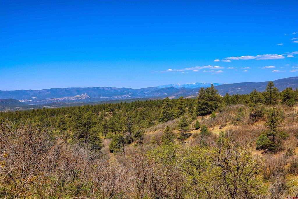 3367 Ranchland Drive Property Photo 39