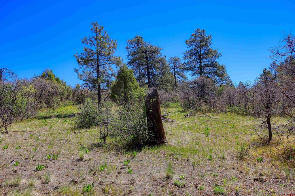 3367 Ranchland Drive Property Photo 40