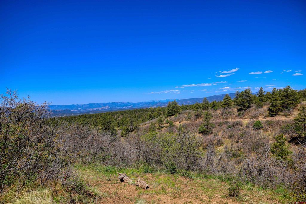 3367 Ranchland Drive Property Photo 42