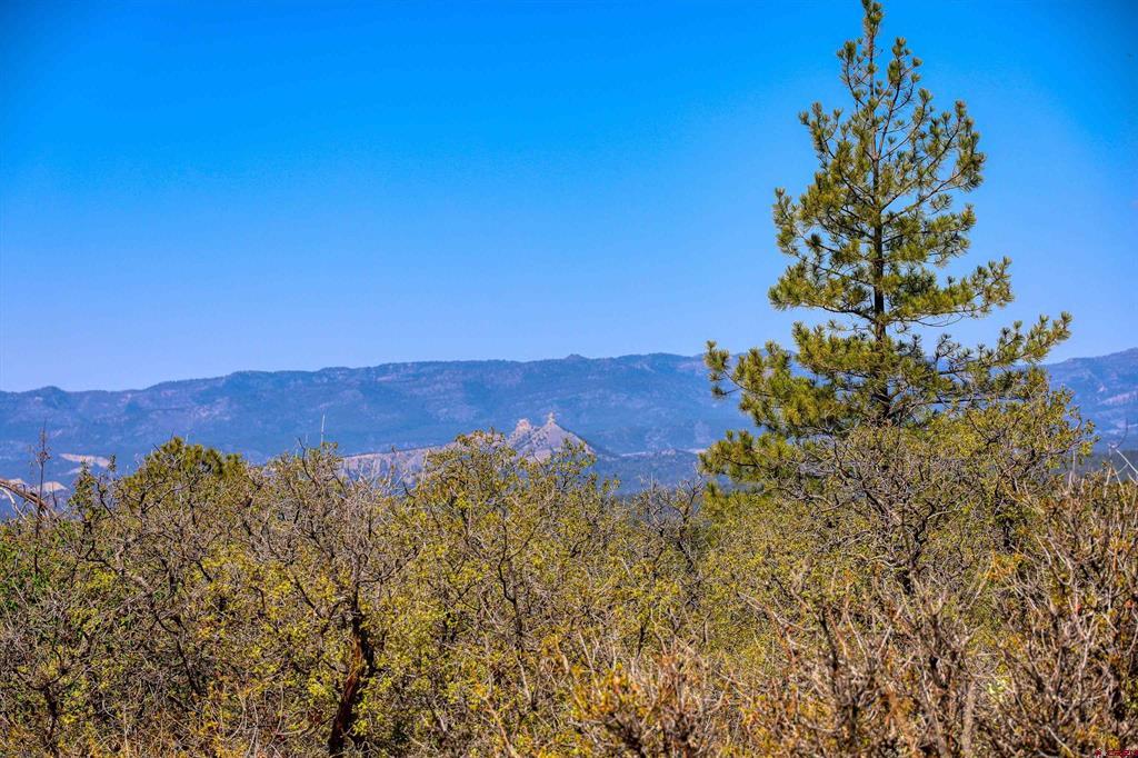 3367 Ranchland Drive Property Photo 45