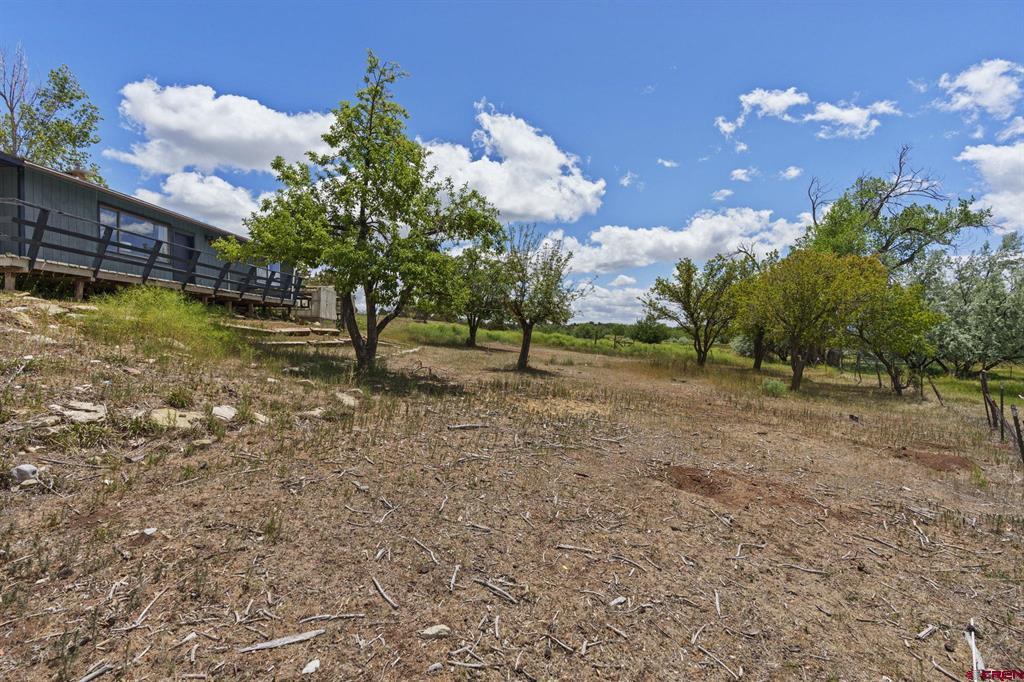 17182 Road 25 Property Photo 30