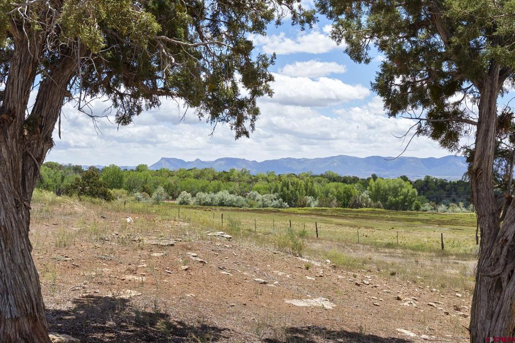 17182 Road 25 Property Photo 35