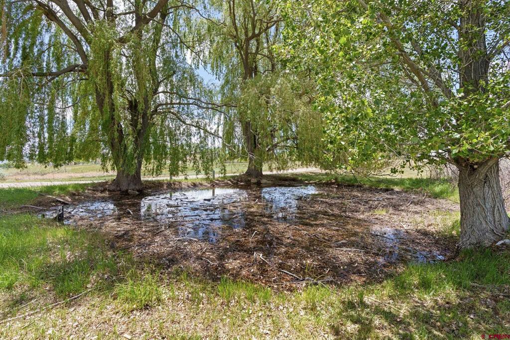 17182 Road 25 Property Photo 35