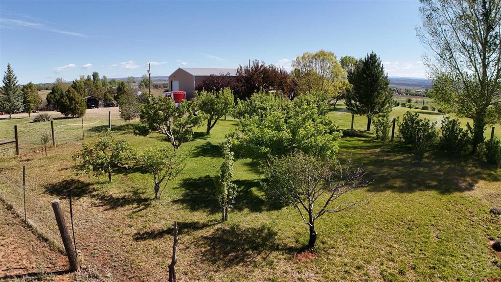 20590 Road P Property Photo 24