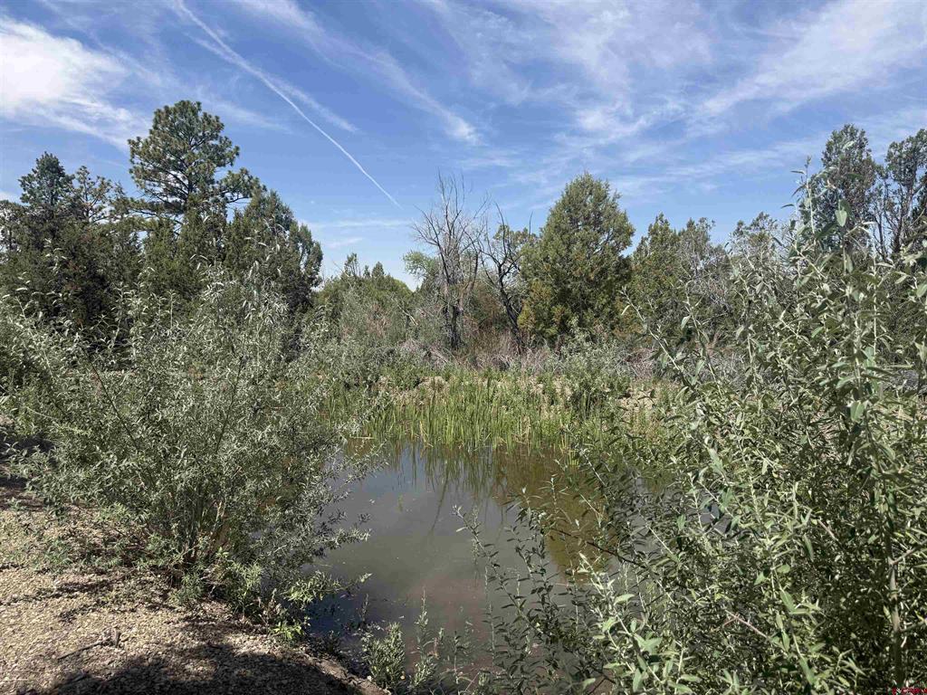 27255 Road P Property Photo 37