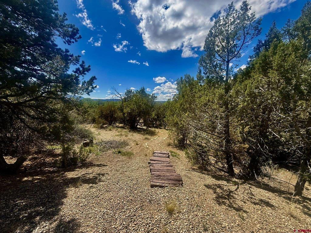 27255 Road P Property Photo 38