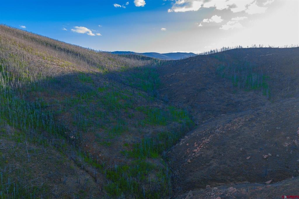 600 Acres Property Photo 6
