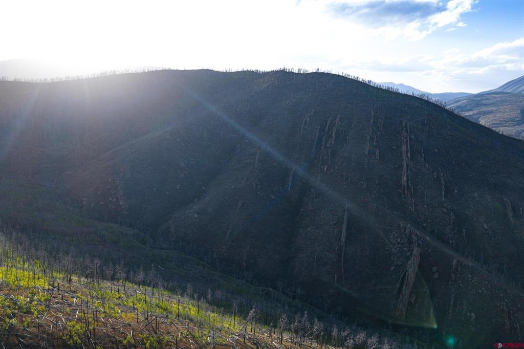 600 Acres Property Photo 30
