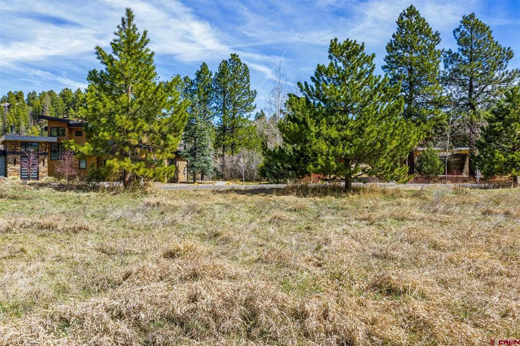 24 Cliffs Edge Drive Property Photo 7