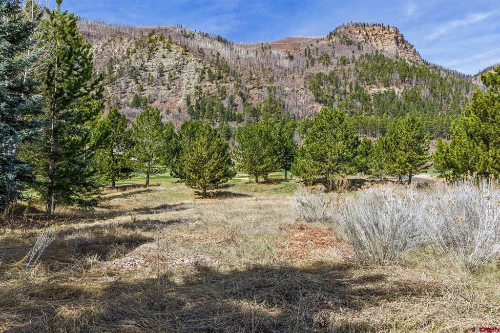 24 Cliffs Edge Drive Property Photo 17