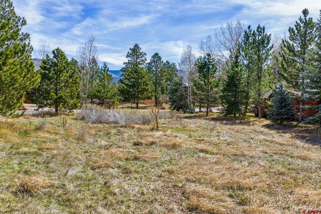 24 Cliffs Edge Drive Property Photo 18