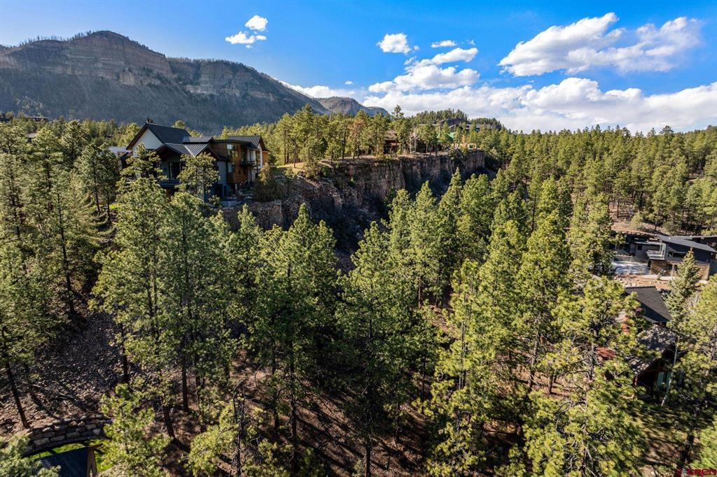47 Ambush Canyon Property Photo 5