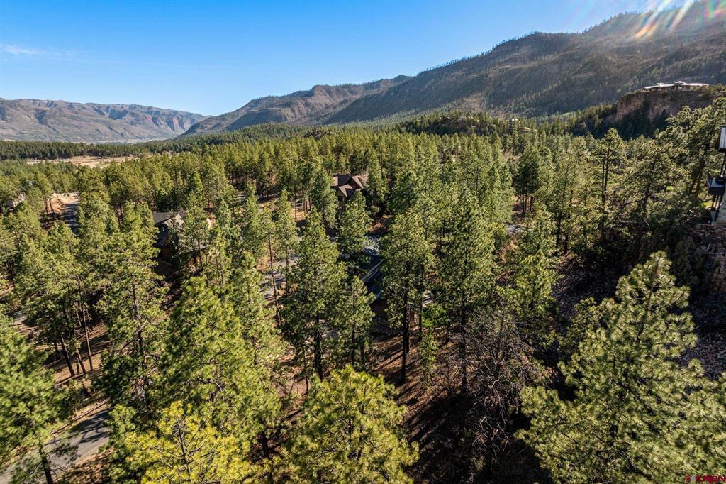 47 Ambush Canyon Property Photo 6