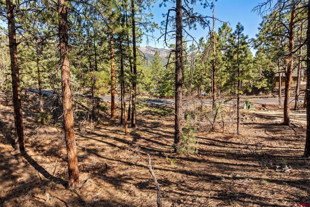 47 Ambush Canyon Property Photo 9