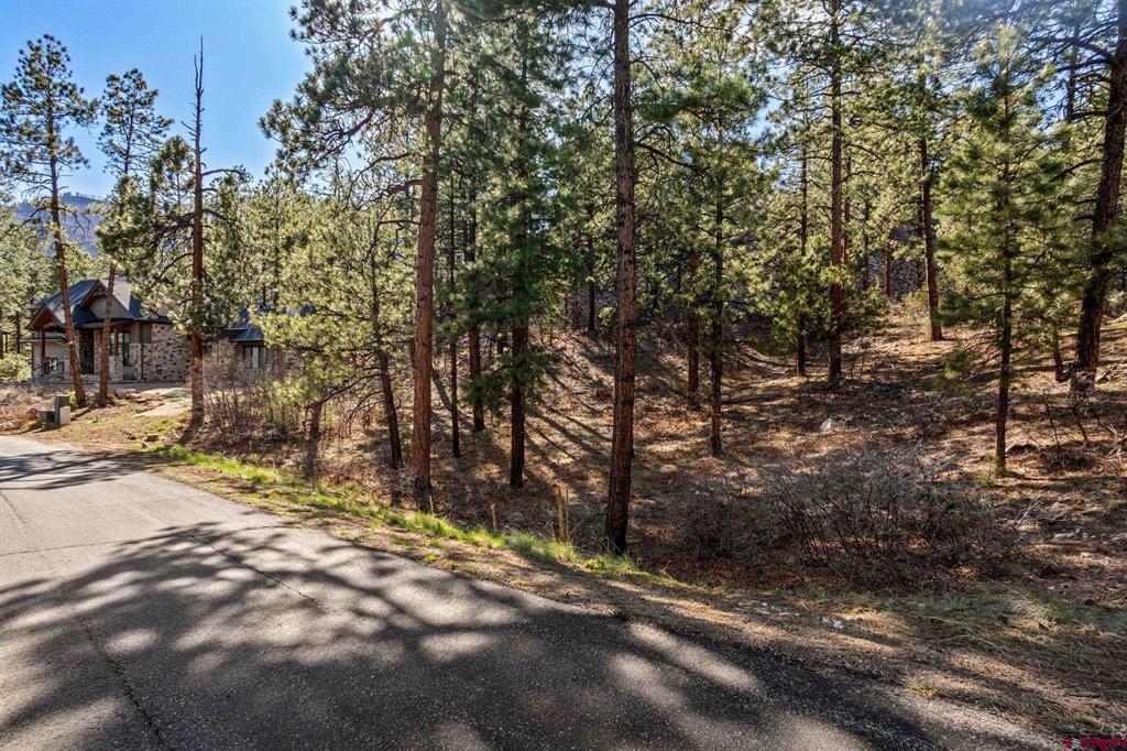 47 Ambush Canyon Property Photo 10