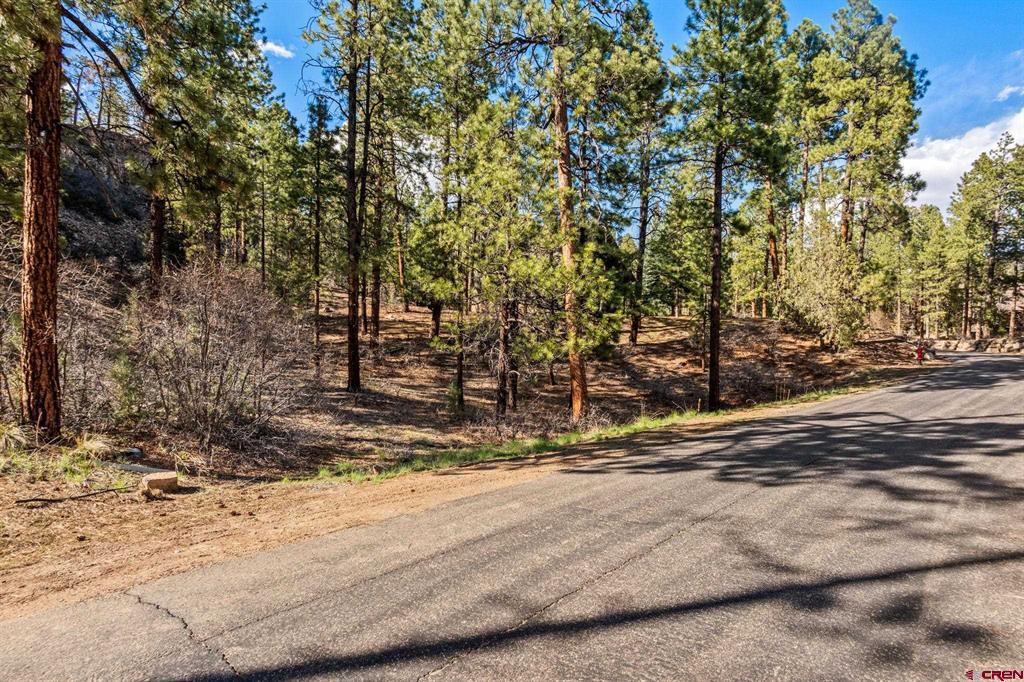 47 Ambush Canyon Property Photo 11