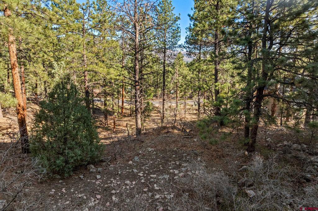 47 Ambush Canyon Property Photo 12