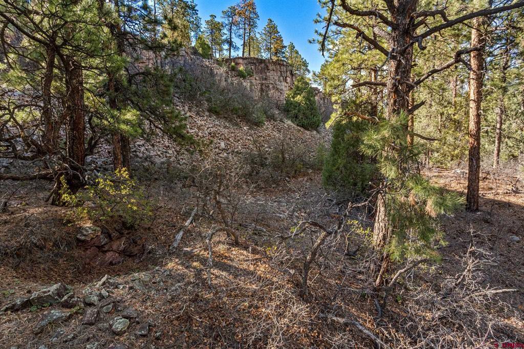 47 Ambush Canyon Property Photo 13