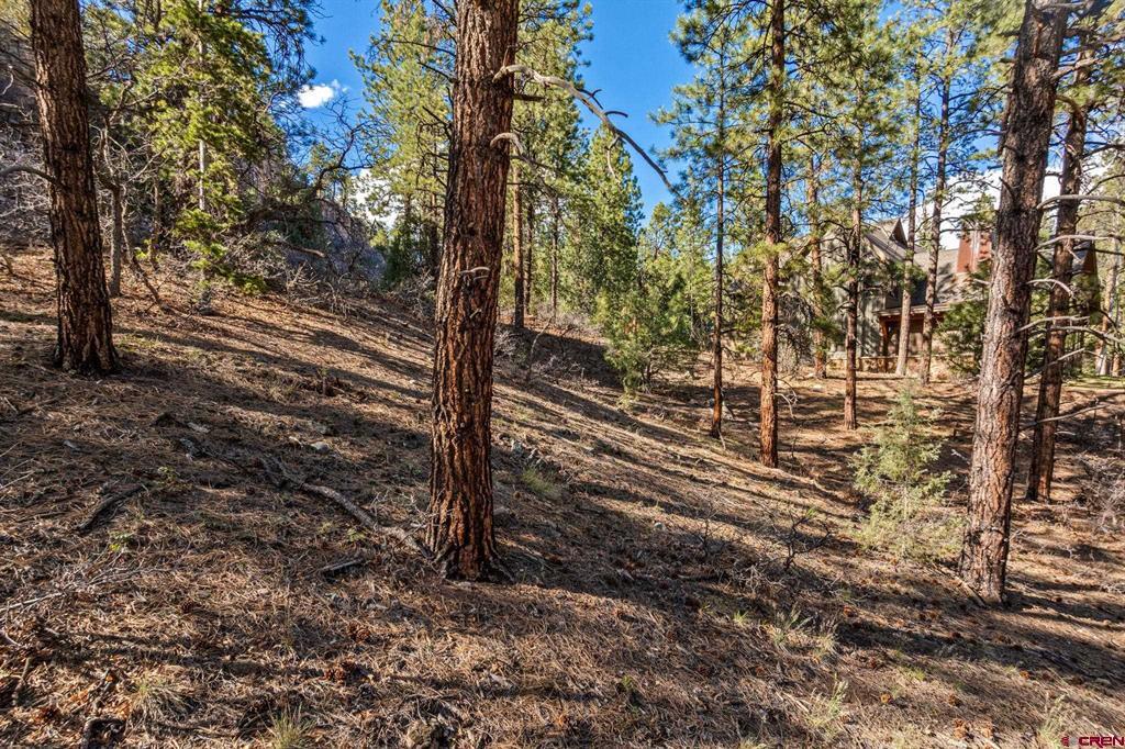 47 Ambush Canyon Property Photo 14
