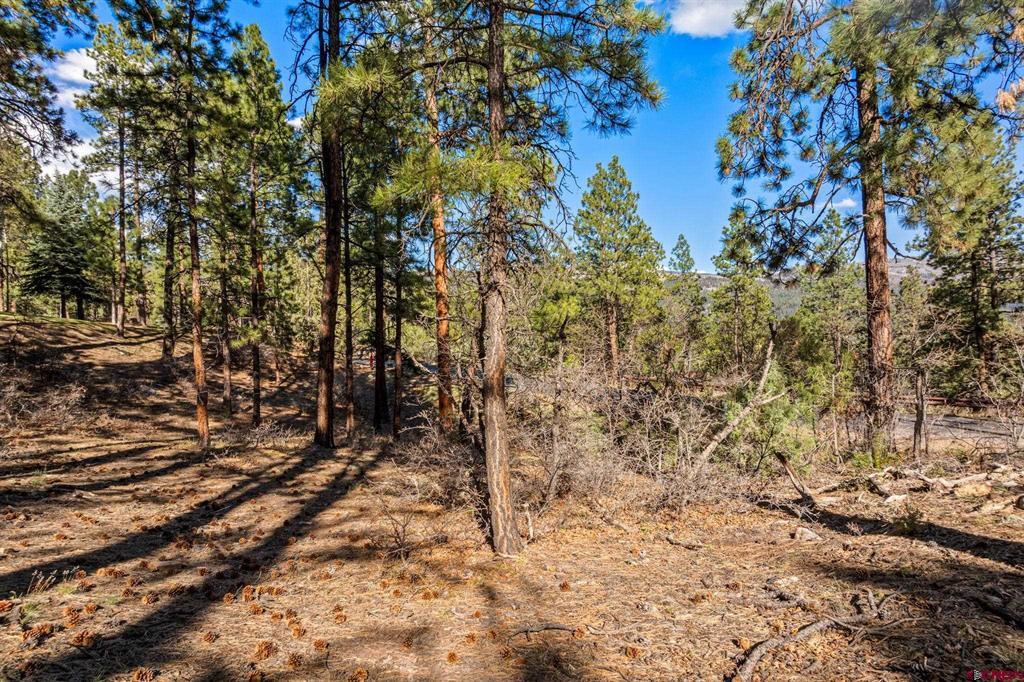 47 Ambush Canyon Property Photo 15