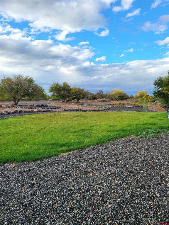 55347 Begonia Road Property Photo 8