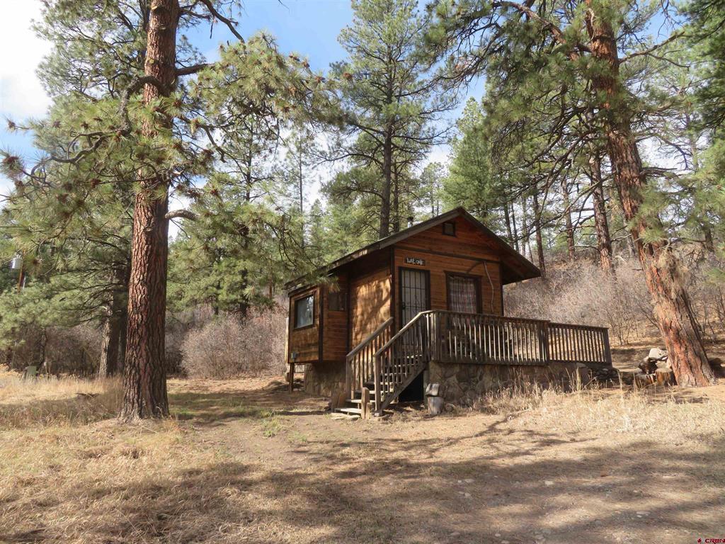 203 Evergreen Property Photo 4