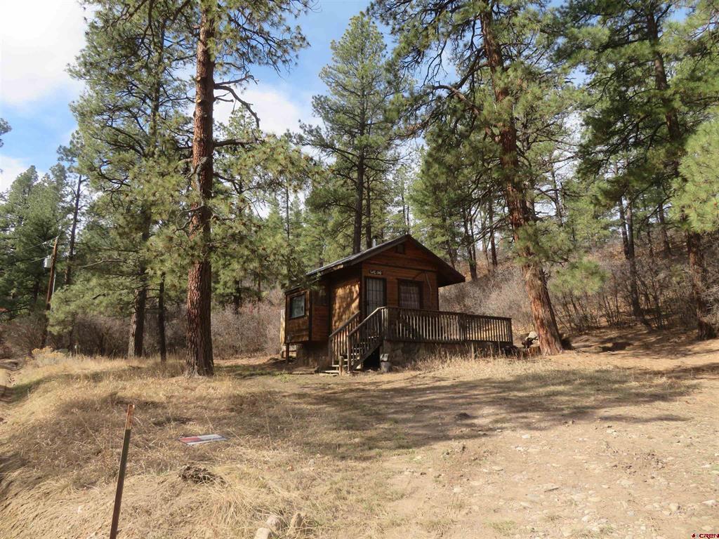 203 Evergreen Property Photo 22