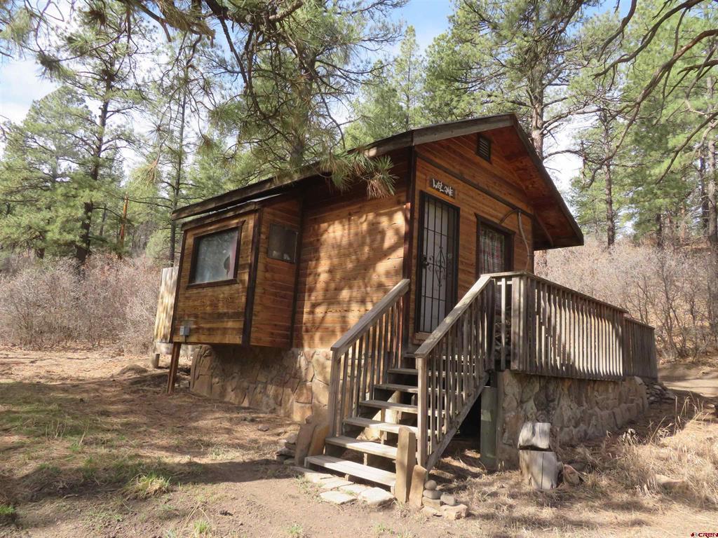 203 Evergreen Property Photo 23