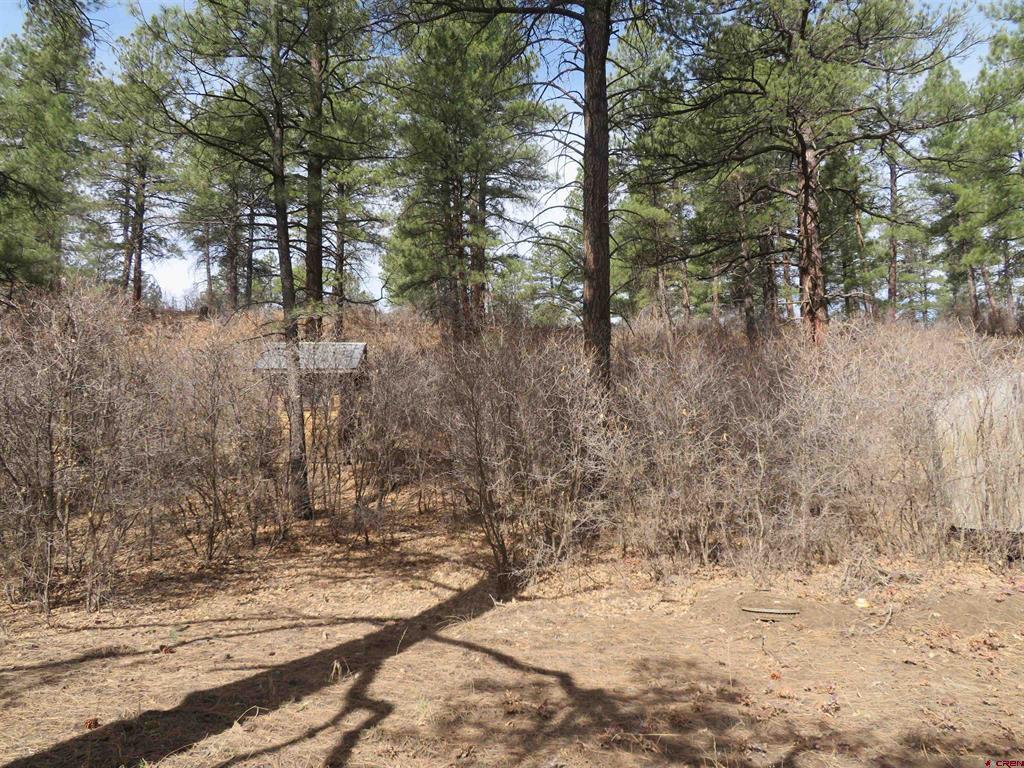 203 Evergreen Property Photo 25