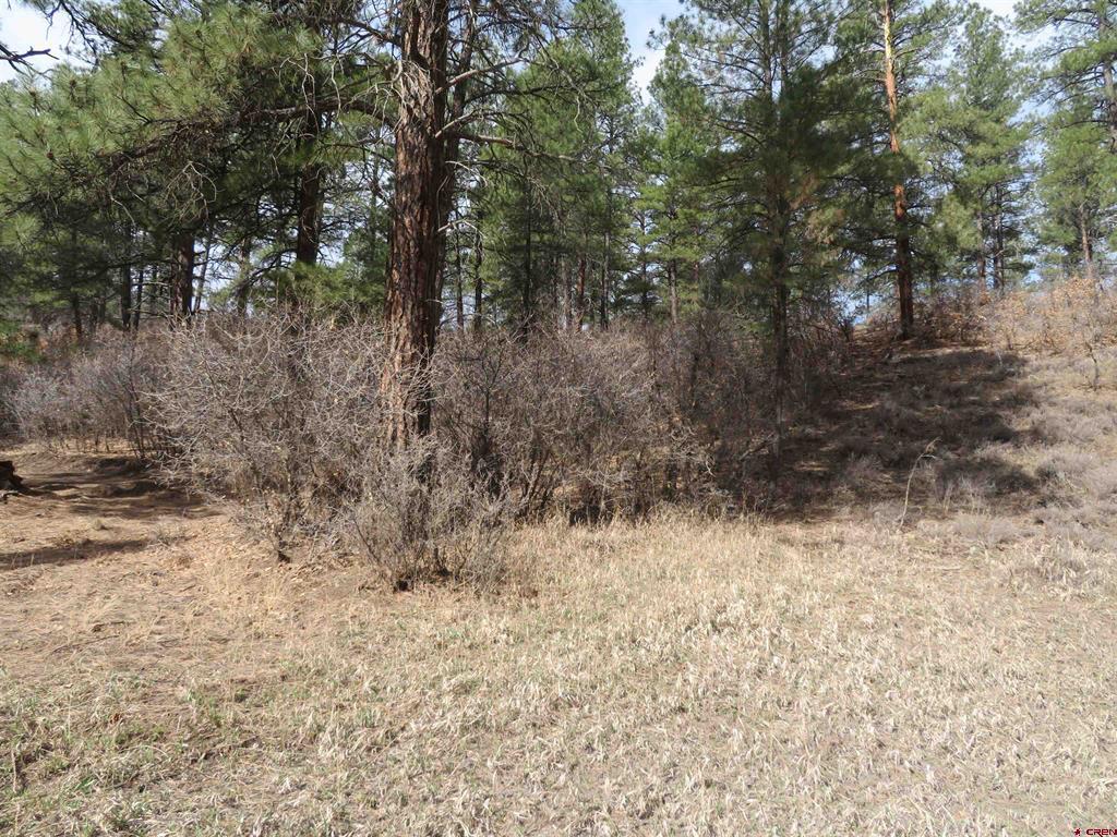 203 Evergreen Property Photo 26