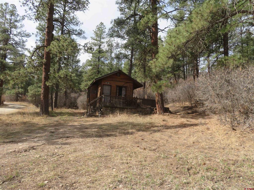 203 Evergreen Property Photo 27