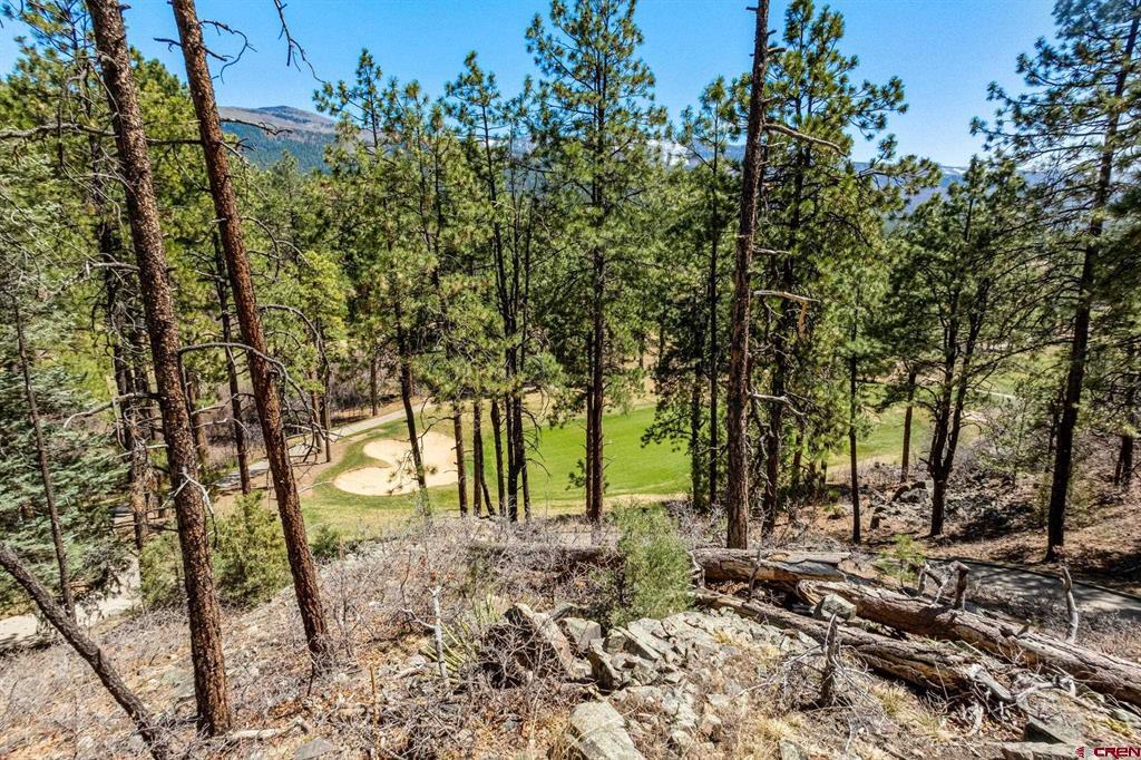 91 Ambush Canyon Property Photo 2
