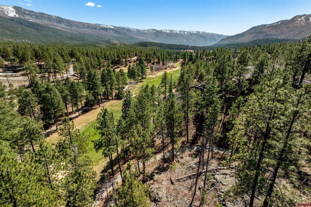 91 Ambush Canyon Property Photo 3