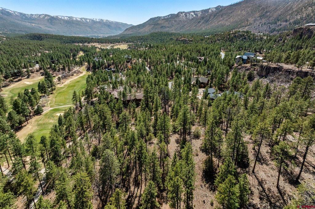 91 Ambush Canyon Property Photo 5
