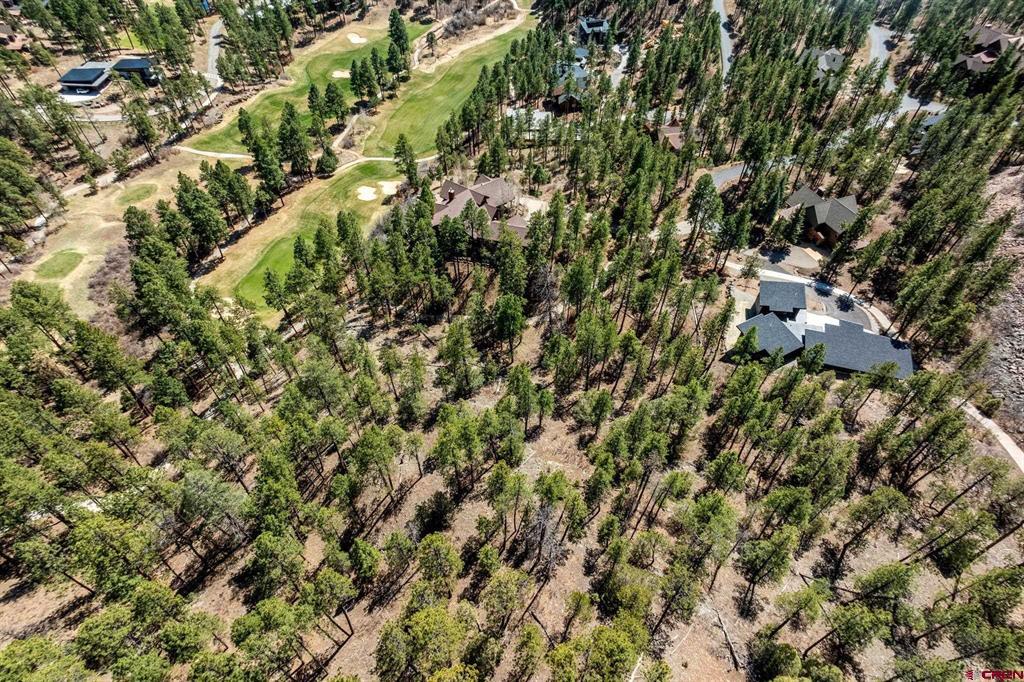 91 Ambush Canyon Property Photo 11