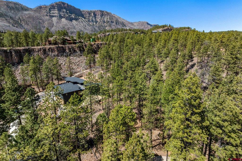 91 Ambush Canyon Property Photo 14